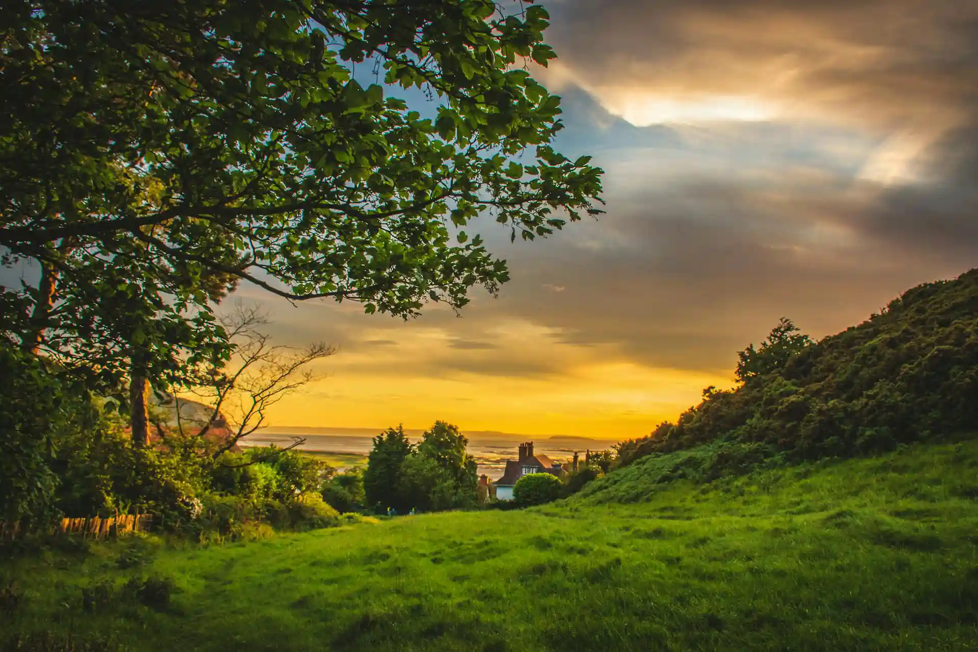 green-trees-under-blue-and-orange-sky-during-sunset green-trees-under-blue-and-orange-sky-during-sunset
